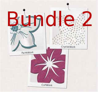 BERNINA DesignWorks Software + 2 Module + 2 Tools